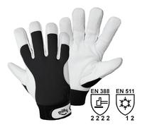 Leipold Doehle 1707-8 Pelle Nappa Guanto per meccanica e assemblaggio Taglia