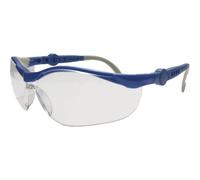 Leipold Doehle 2675 Occhiali di protezione Blu, Grigio EN 166-1 DIN 166-1