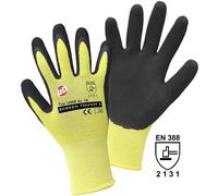 Leipold Doehle SCREEN TOUCH L 14906-11 Nylon Guanto da lavoro Taglia (Guanti):