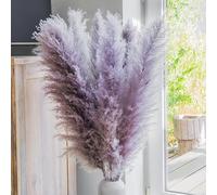 Leisure Life® | 8X Erba della Pampa grande 113cm | palette di colori viola naturale | fiori secchi XXL per attirare l'attenzione in casa vostra | fiori super soffici | inclusa guida alla decorazione