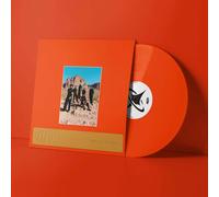 Leisure Welcome to the Mood (Vinyl LP)