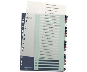 Leitz 1239-00-00 1239 Style Divisore DIN A4 1-20 Polipropilene Multicolore 20 s