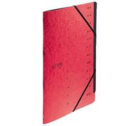 Leitz 30150025 - Cartella portadocumenti formato A4, 12 scomparti, con divisori e chiusura elastica, per scuola, studio e casa, colore: Rosso