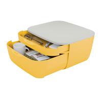 LEITZ - 53570019 - Cassettiera Cosy - 2 scomparti - giallo - Leitz - 92732 - Conf. da 1 Pz. - 53570019