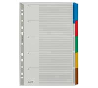 Leitz Divisori per Raccoglitori con 5 Tasti, Formato A4, Tasti Colorati e Banda Perforata con Rinforzo in Plastica Mylar, Cartoncino Robusto, Grigio, 43200000