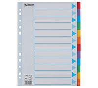 Leitz Esselte Divisori per Raccoglitori con 12 Tasti, Formato A4, Blu/Multicolore, Cartoncino Robusto Riciclato, 12 Tasti con Pagina Indice, 100194