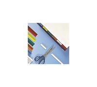 Leitz Esselte Strisce Adesive per Etichette, 20cm x 5 strisce