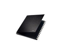 Leitz Pressboard Desk File