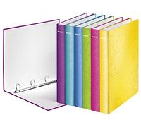 Leitz Raccoglitore a 2 anelli