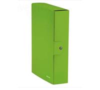 Leitz Scatola per progetti WOW in cartone - dorso 10 cm - formato 25 x 35 cm