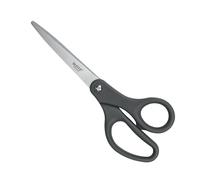 Leitz Titanium Forbici in Acciaio Inossidabile con Lame Rivestite in Titanio, Confezione in Cartone Priva di Plastica, 205 mm, 54220089