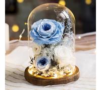 LEIYTFE Bouquet di Fiori Stabilizzati con Luce LED, Rosa Eterna Realizzata A Mano Regali per La Mamma, La Moglie E La Fidanzata, Fiori da Consegnare A Domicilio Che Durano Un Anno O più(Blue 2)