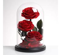 LEIYTFE Regali per La Mamma E per Le Donne Rosa Stabilizzata in Vaso di Vetro, Rose Eterne Che Non Appassiscono Mai, Regali Unici per La Festa della Mamma Che Durano Un Anno O più(Red)