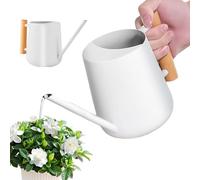 LEKEFETO Annaffiatoio Bianco per Piante da Appartamento: 1 L in Acciaio Inox Con Beccuccio Lungo e Manico in Legno, per Piante Grasse, Vaso e Fiori