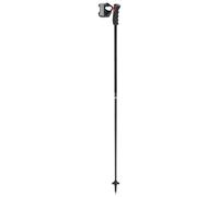 Leki - Black Venom GS TR - Bastoncini da sci 110 cm nero/ carbon structure