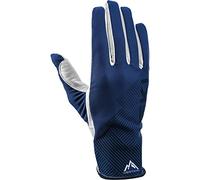 Leki Alpino Guide Premium Gloves Blu 6 Uomo