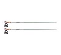 Leki - Passion - Bastoni da nordic walking 115 cm smokegreen /grigio