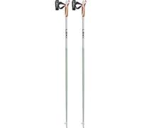 Leki Bastoni da Nordic Walking Passion – Unisex Bianco/Verde 100 cm (2023)
