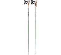 Leki Passion - bastoncini nordic walking 120 Light Green/White unisex