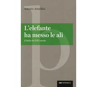 L' elefante ha messo le ali. L'India del XXI secolo