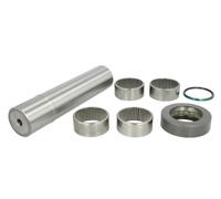 LEMA 225 Kit riparazione, Perno fuso a snodo