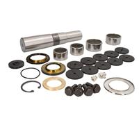 LEMA 246 Kit riparazione, Perno fuso a snodo