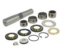LEMA 248 Kit riparazione, Perno fuso a snodo