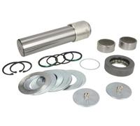 LEMA 303 Kit riparazione, Perno fuso a snodo