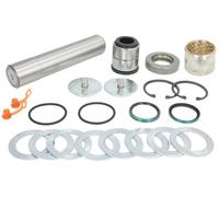LEMA 307 Kit riparazione, Perno fuso a snodo