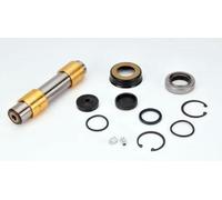 LEMA 807 Kit riparazione, Perno fuso a snodo