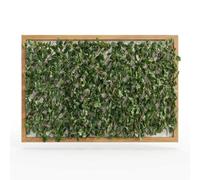 Lemag Siepe Artificiale Estensibile 100x200 cm - Traliccio Frangivista con Fogliame Sintetico - Si Apre a Fisarmonica per Balconi, Recinzioni, Ringhiere e Muri Spogli