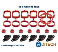Lembo Vorticante Kit di Riparazione Swirl Guarnizioni per BMW M57 6 X 22 MM