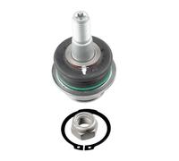 Lemförder 36916 01 Braccio Strutturale Frontale per Ford Transit Tourneo Connect