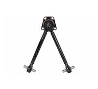 Lemförder 42287 01 - Manubrio, sospensione ruota