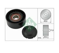 INA Galoppino 532 0557 10 Guidacinghia,Galoppino Cinghia VW,AUDI,PORSCHE,Touareg (7LA, 7L6, 7L7),Touareg (7P5, 7P6)