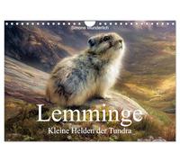 Lemminge - Kleine Helden der Tundra (Wandkalender 2027 DIN A4 quer), CALVENDO Monatskalender: Lemminge - winzig, wild und wunderbar!