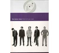 LEMON TREES - LEMON TREES - LOVE IS IN YOUR EYES - 12 INCH VINYL