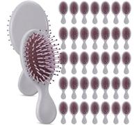 LemonRoad Confezione da 30 mini spazzole per capelli con setole morbide e districanti, confezionate singolarmente, da viaggio, per donne e ragazze, per la maggior parte dei tipi di capelli (grigio)