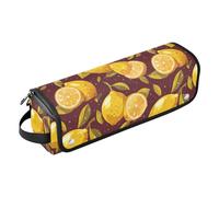 Lemons Red Hot Hair Tools Borsa da viaggio con tappetino in ferro impermeabile custodia da viaggio per ferri da stiro, piastre da stiro, ferri arricciacapelli, accessori da viaggio portatili