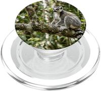 Lemur Wildlife Animale Giungla Foresta Albero Ramo Tropicale PopSockets PopGrip per MagSafe