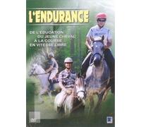 L'endurance du jeune cheval à la course et à la vitesse