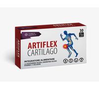 L'Energia delle Piente Artiflex Cartilago 30 St