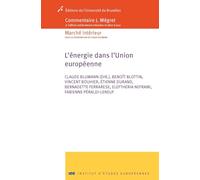 L'énergie dans l'Union Européenne: Commentaire Mégret
