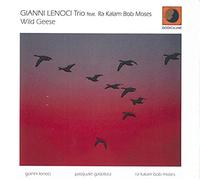 Lenoci Gianni( Feat Kalam Bob Moses - Wild Geese