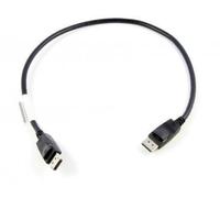 Lenovo 0.5m DisplayPort 0,5 m Nero