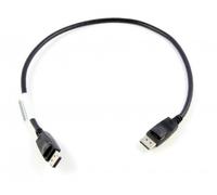 Lenovo 0.5m DisplayPort 0,5 m Nero