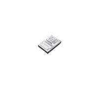 Lenovo DCG Topseller 1TB 7.2 K 12 Gbps NL SAS 6.35 cm 2.5zoll g3hs HDD