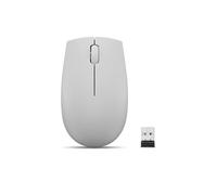 Lenovo 300 Wireless Compact Mouse|Arctic Grey