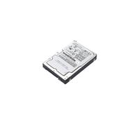 Lenovo 300GB 6Gbps SAS 2.5 HS disco rigido interno 15000 Giri/min 2.5 (IBM 300GB