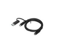 Lenovo 4X90U90618 cavo USB USB 3.2 Gen 1 [3.1 Gen 1] 1 m USB A/USB C USB C Nero (Lenovo - USB cable - 24 pin USB-C [M] to 24 pi